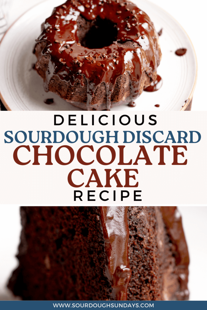 A closer look at Invisisling Chocolate Cake