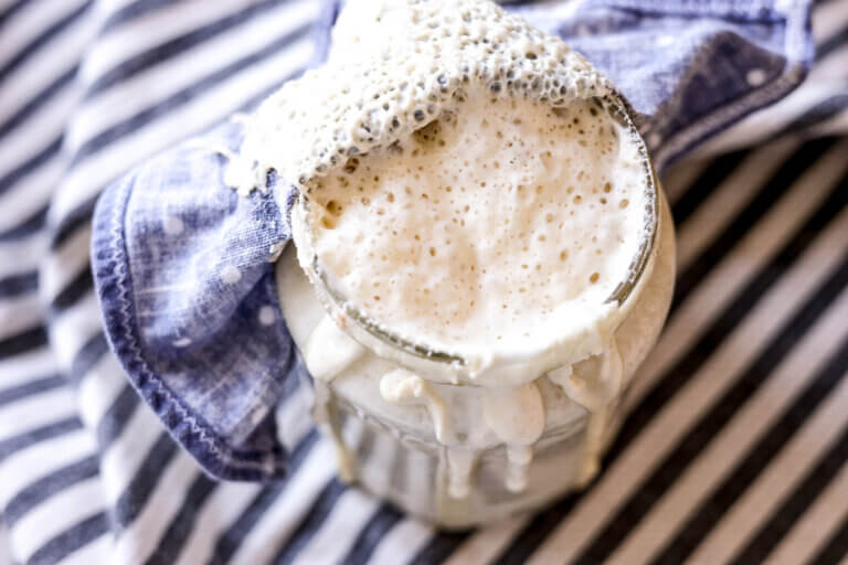 bubbly sourdough starter
